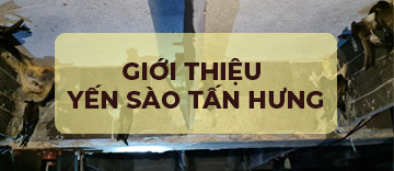 Giới Thiệu Yến sào Tấn Hưng, lịch sử và câu chuyện