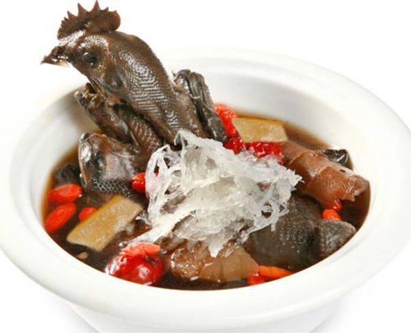Những món ngon được chế biến từ tổ yến sào