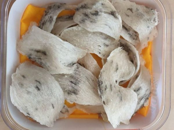 Yến Sào Cù Lao Chàm tại Đà Nẵng